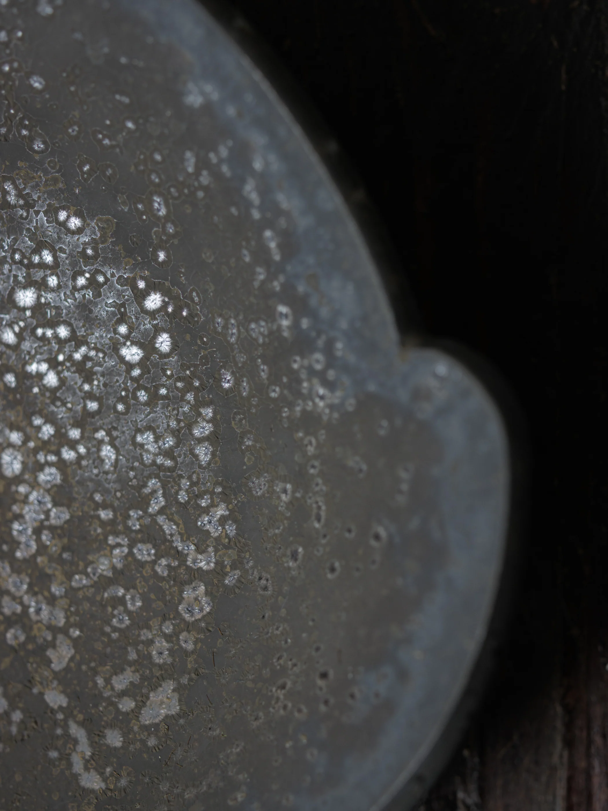 Object by 1218 x Professor.E|Tray - Image 8